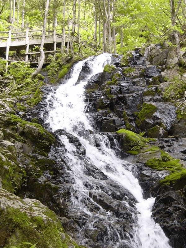 【岐阜】飛騨高山で滝めぐり！