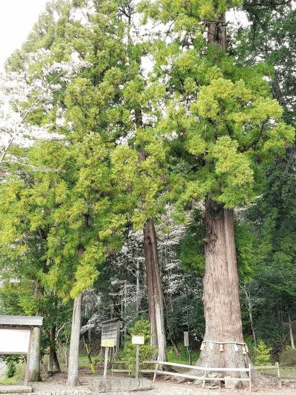 岐阜県の山間にある町【八百津】のおすすめスポット