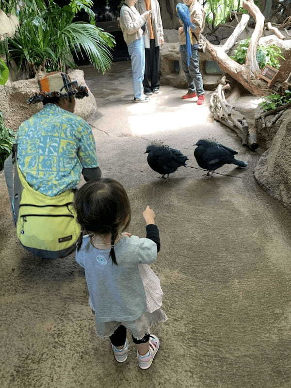 【那須】子どもと一緒に楽しむなら「那須どうぶつ王国」で決まり！1.jpg