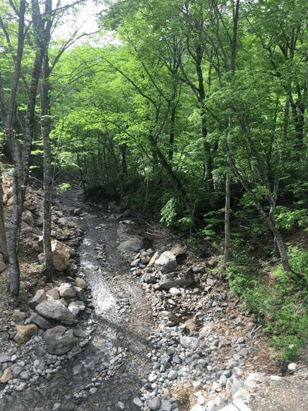 みちのくの小京都、角館・乳頭温泉へ癒し旅のすすめ