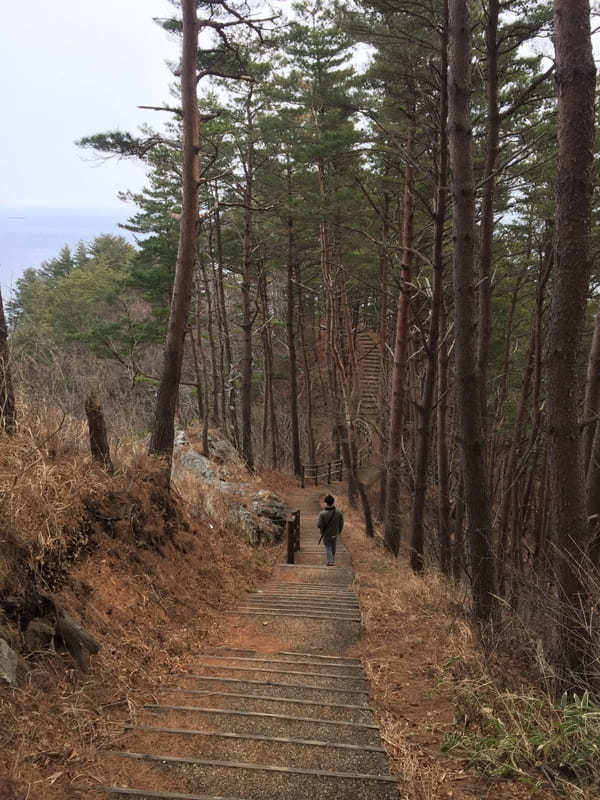 【岩手・田野畑】北山崎の絶景を陸から海から！地元グルメも堪能