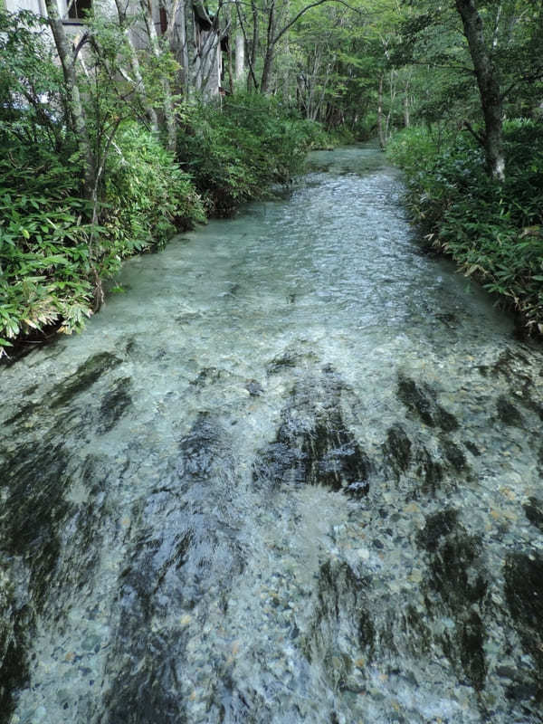 【上高地】美しい自然を大満喫！「かっぱ橋」から「明神池」を散策！