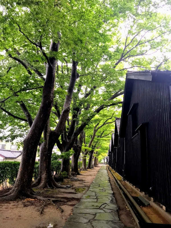 【山形】神々の地「出羽三山神社」から日本海に沈む夕日まで〜心も身体もキレイになれるオトナ女子のための癒しスポット5選