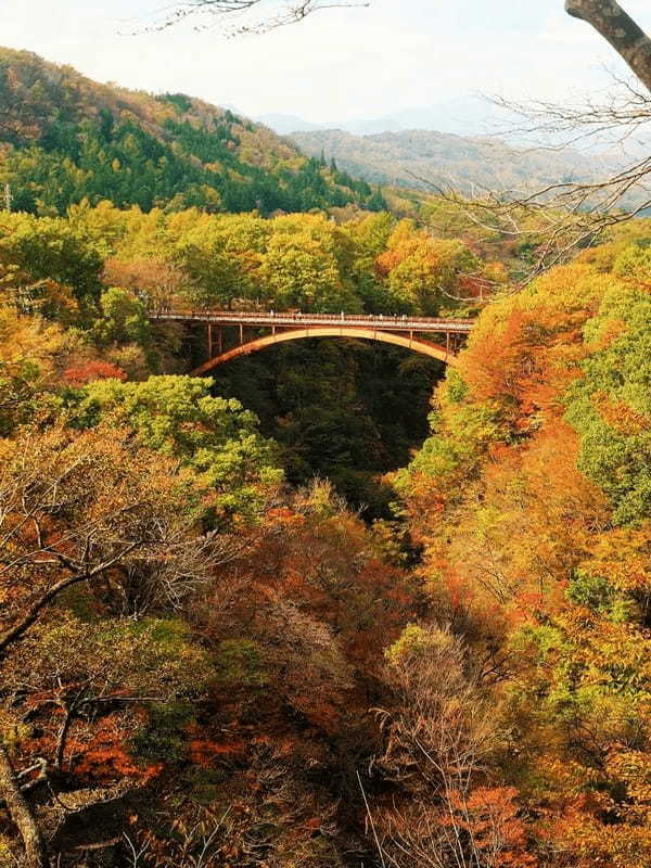 東北で人気の渓谷・峡谷TOP10！みんなが行っている渓谷・峡谷ランキング