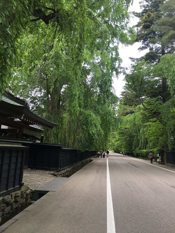 みちのくの小京都、角館・乳頭温泉へ癒し旅のすすめ