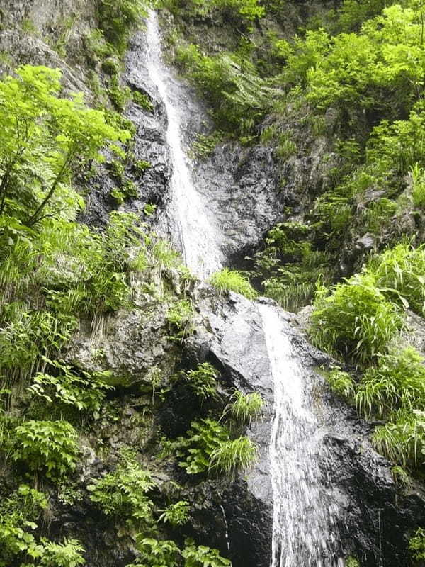 岐阜県美濃エリアでほっと温まる❗観光と合わせ楽しめる日帰り温泉❗