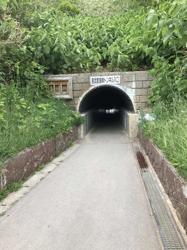 【北海道】絶景「積丹ブルー」とウニの旅