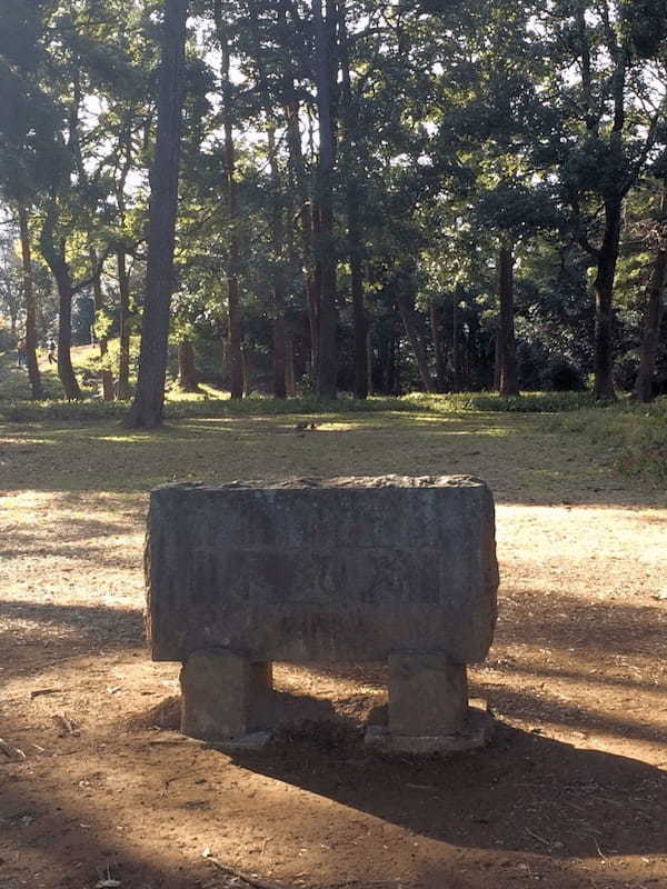 関東の戦国時代を終わらせた秀吉の城跡 小田原市の「石垣山一夜城歴史公園」1.jpg