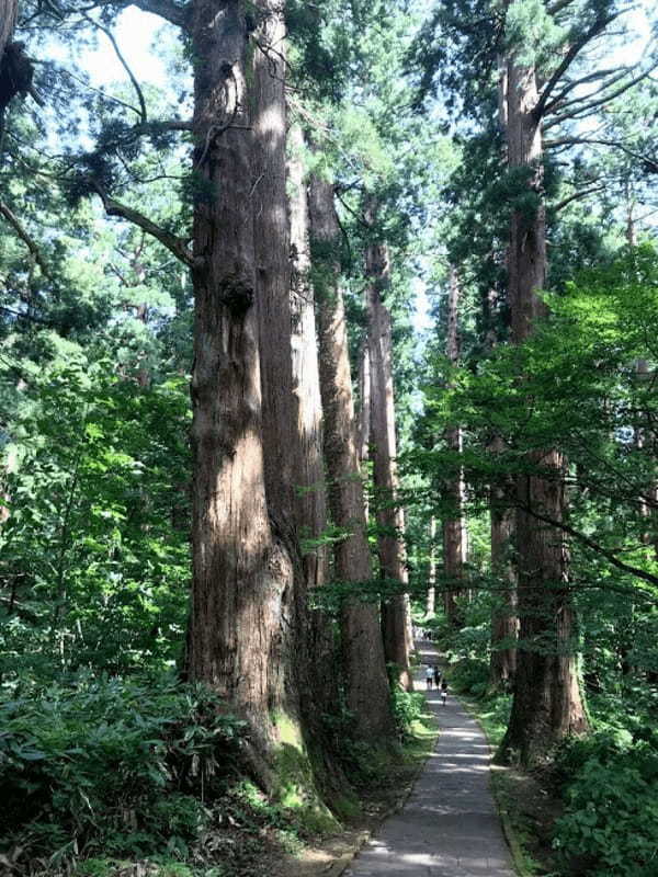 【山形】神々の地「出羽三山神社」から日本海に沈む夕日まで〜心も身体もキレイになれるオトナ女子のための癒しスポット5選