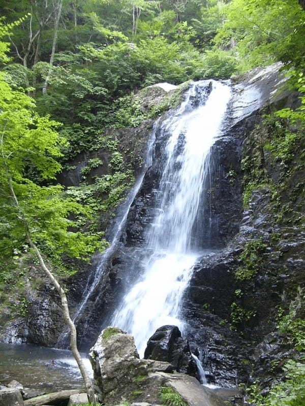 【岐阜】飛騨高山で滝めぐり！