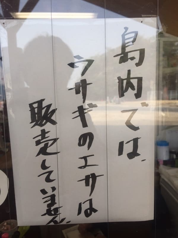 広島・大久野島：世界で唯一！？ウサギ700羽に触り放題～アクセス＆事前注意点～