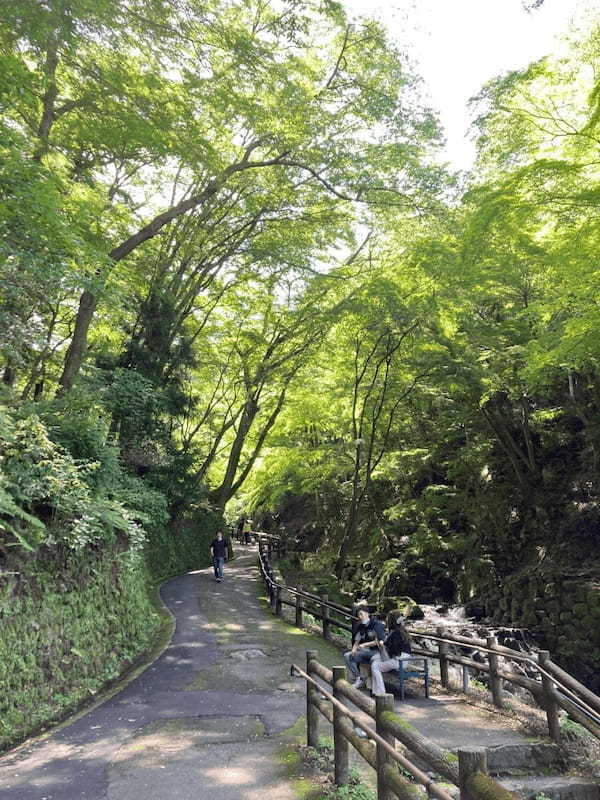 【岐阜】疲れた時こそ行きたいパワースポット「養老の滝」と「菊水泉」1.jpg