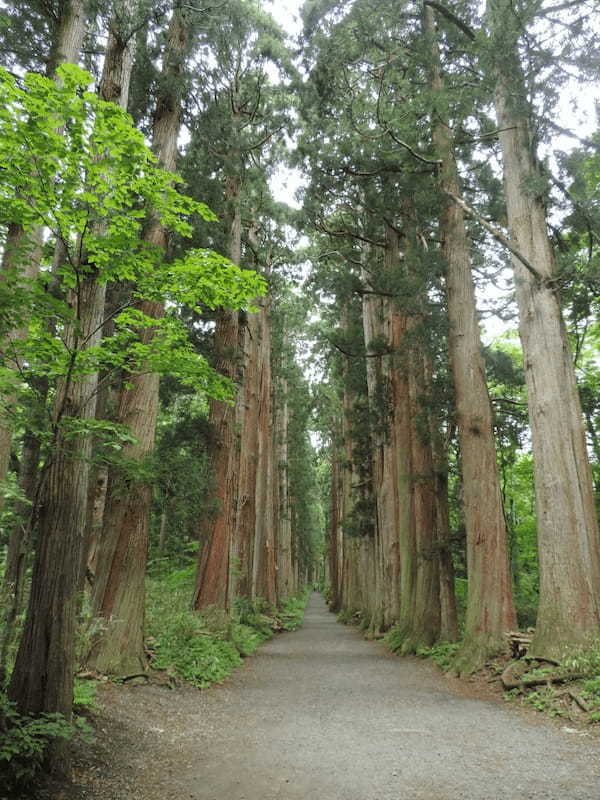 長野県の人気観光地【戸隠】の魅力！