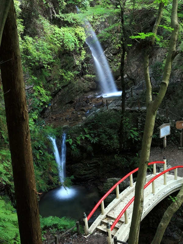 涼をもとめて！夏に行きたい関東の滝12選