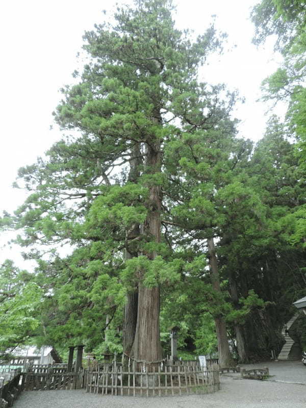 長野県の人気観光地【戸隠】の魅力！