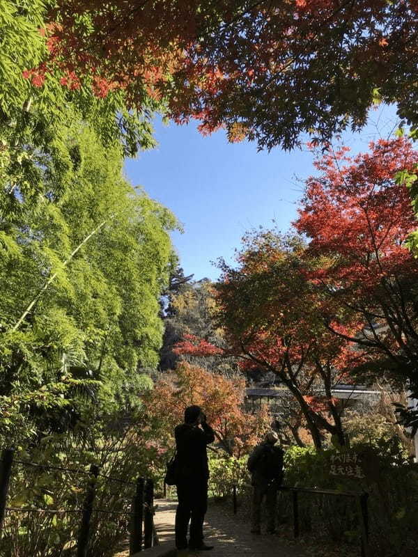 千葉の紅葉名所No.1【本土寺】のオススメ写真スポット＆楽しみ方を伝授！