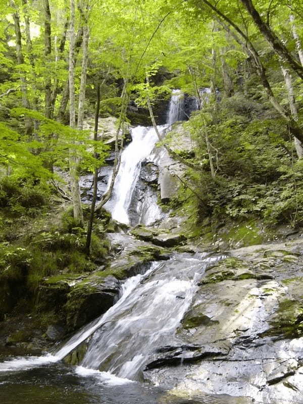 【岐阜】飛騨高山で滝めぐり！