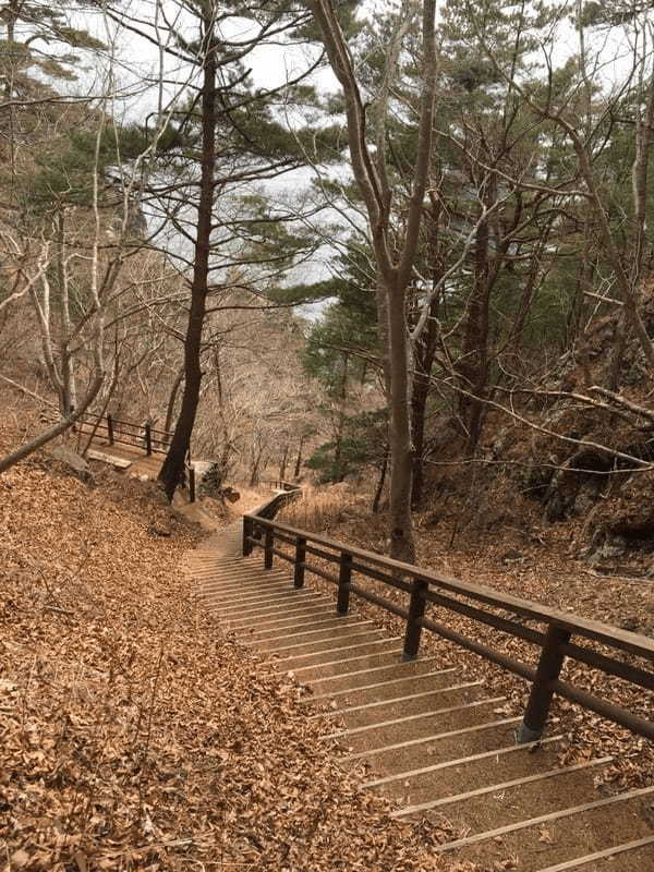 【岩手・田野畑】北山崎の絶景を陸から海から！地元グルメも堪能