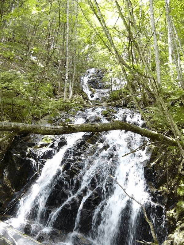 【岐阜】飛騨高山で滝めぐり！