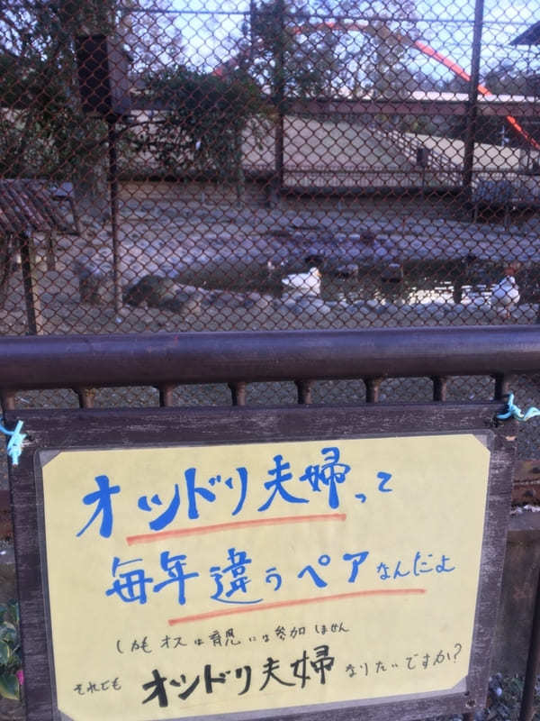 【豊田市】鞍ヶ池公園にある無料動物園のクセがすごい！デートにもファミリーにもおすすめ