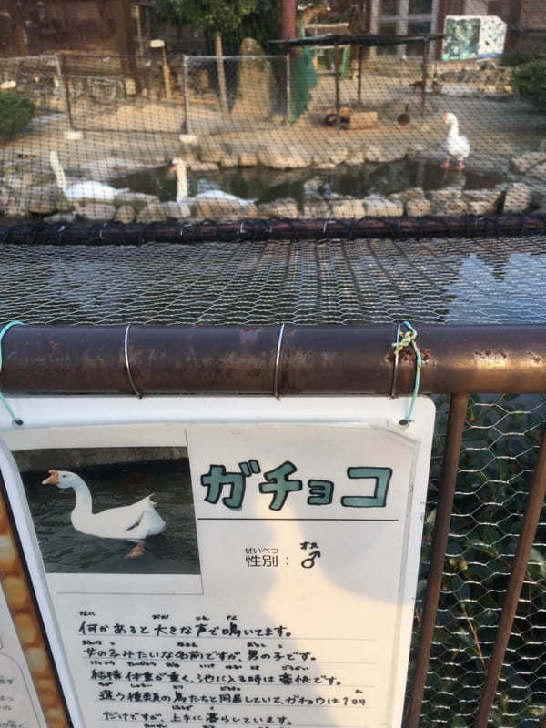 【豊田市】鞍ヶ池公園にある無料動物園のクセがすごい！デートにもファミリーにもおすすめ