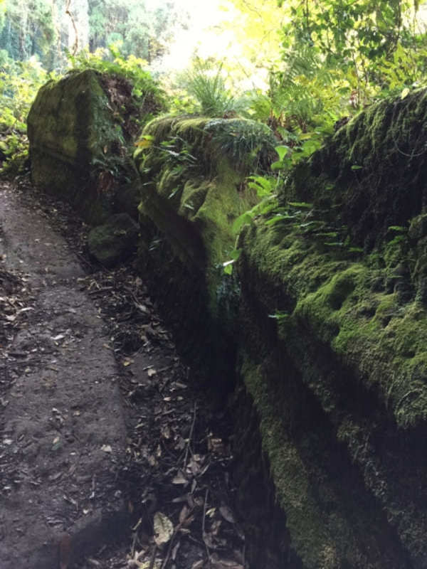 【千葉】「鋸山」登山はまるで遺跡探検！？「さすけ食堂」で幻の黄金アジフライも