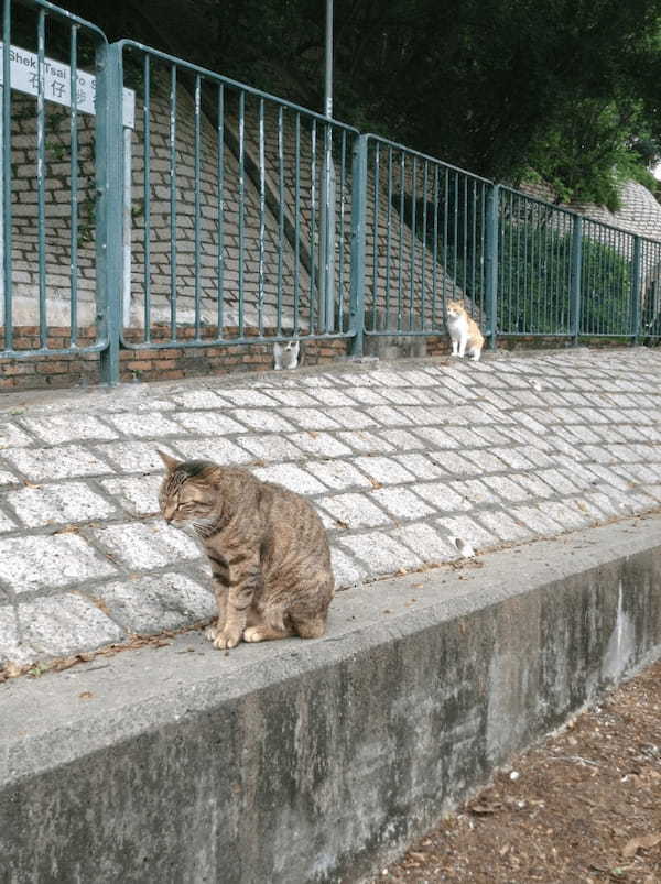 【香港】ランタオ島の漁村、大澳を歩く。1.jpg