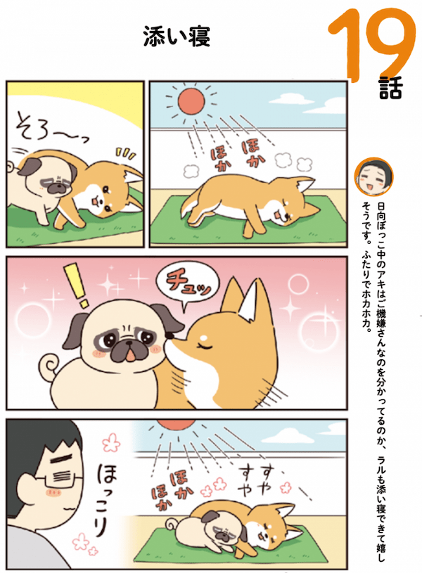 まるでドMと女王様?! パグと柴犬のドタバタな日常が笑える〈マンガ〉