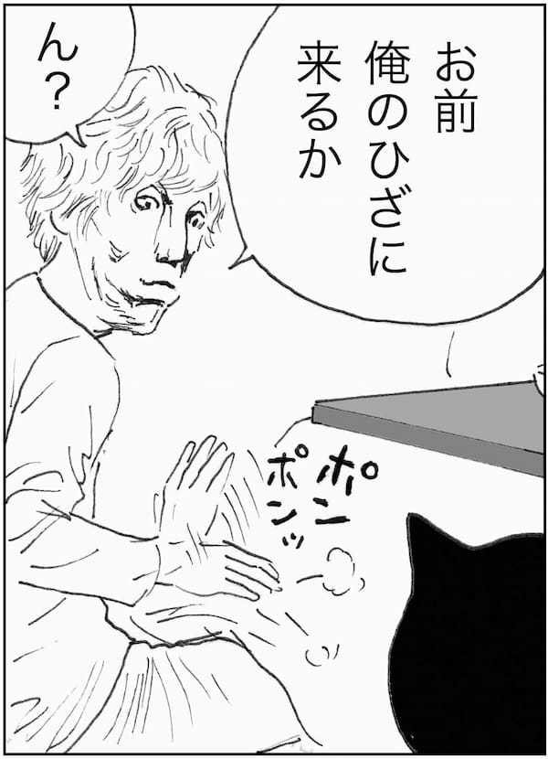 ＜猫漫画＞DVヒモ男と暮らすOL、野良猫3匹とホームレスのおじさんを迎え入れる／モンちゃんと私