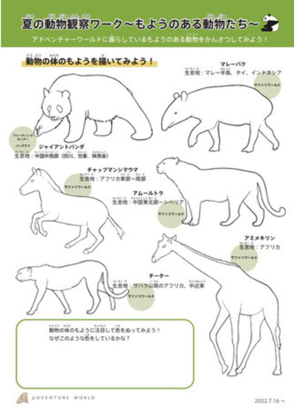 夏休みの思い出にぴったり！家族で楽しめるアドベンチャーワールドのイベントに注目