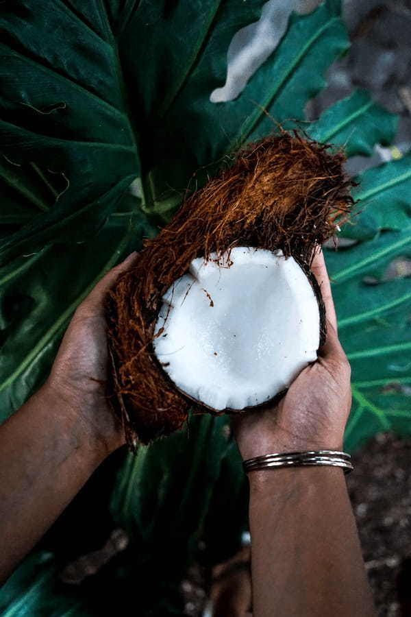 ココナッツオイルを肌に塗る効果は？使い方を解説します！