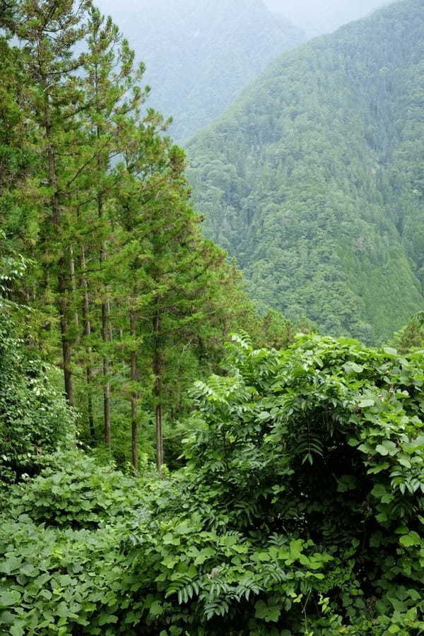 【長野県】天空の村・南信州「下栗の里」が絶景すぎてスゴイ！