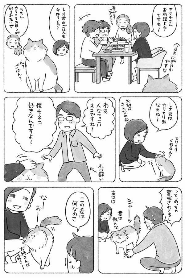 猫は男性より大人の女性が好き？気まぐれにゃんこの本当のキモチ