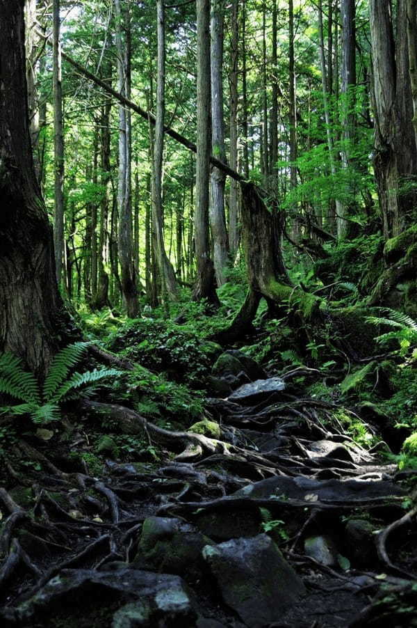 【長野県】蓼科周辺の絶景スポットとオススメご当地グルメを楽しもう！