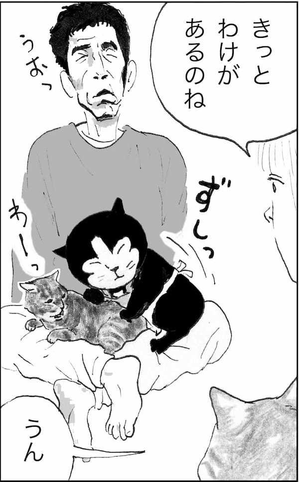 ＜猫漫画＞ツイッターでバズる”猫の名言”と秘密のニオイ!?／モンちゃんと私