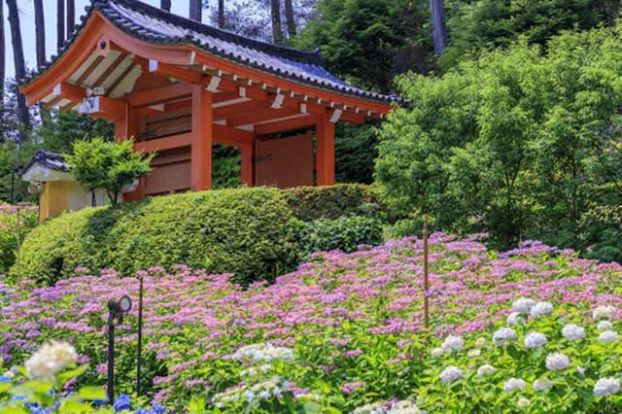 宇治の観光・グルメおすすめスポット10選。ひと味違った京都旅行を満喫しよう！