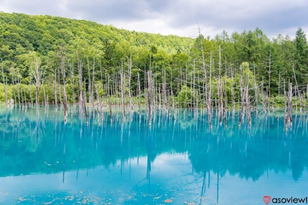 北海道 絶景スポット10選！美瑛・函館山・雲海テラスなど名所をご紹介