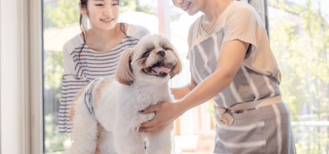【トリマー監修】犬用バリカン・選び方や初心者でもできるやり方を紹介