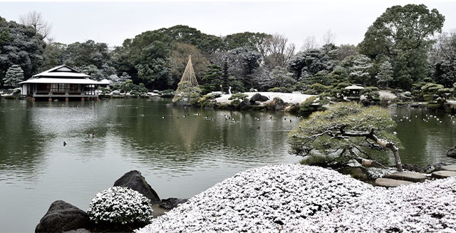 清澄庭園を楽しみ尽くす完全ガイド！美しい庭園を回りながら見どころを紹介