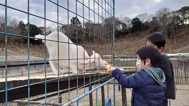 魅力的な遊びがいっぱい！東京ドイツ村の楽しみ方を徹底解説！