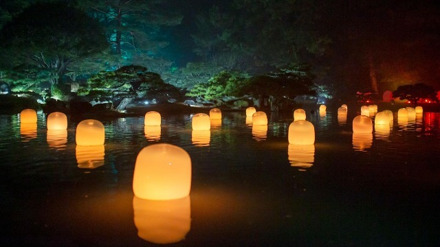 光のアートと美しい植物が広がる幻想的な世界！夏休みは大阪の植物園で特別な一夜を楽しもう