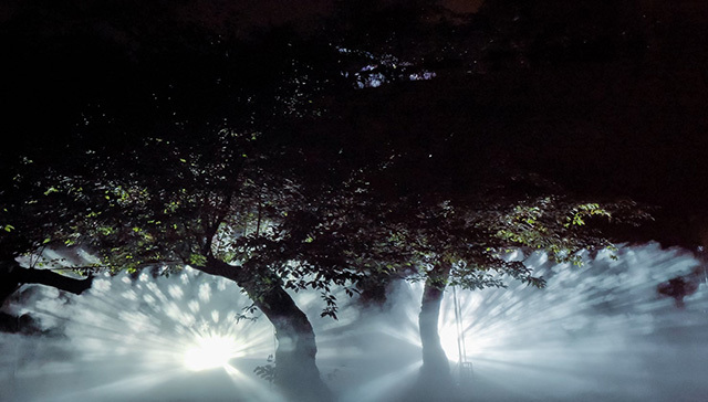 秋の夜長はキラキラのアートで楽しむ！桜の名所「津山城」で夏の桜をテーマにした光の世界を冒険しよう【岡山】