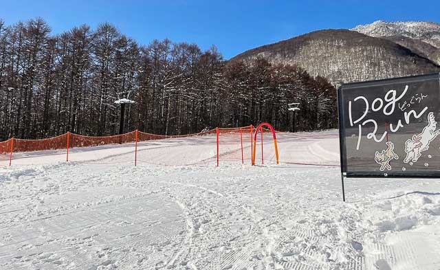 雪にまみれて絆が深まる！ワンちゃんと一緒に遊べるスキー場【極私的おでかけ百景 #15】