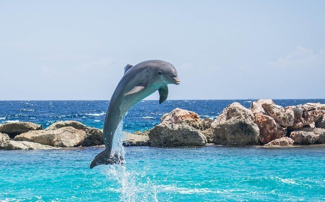 【強力】幸せになれる画像・待ち受け36選！気になる効果も口コミでチェックしよう♪