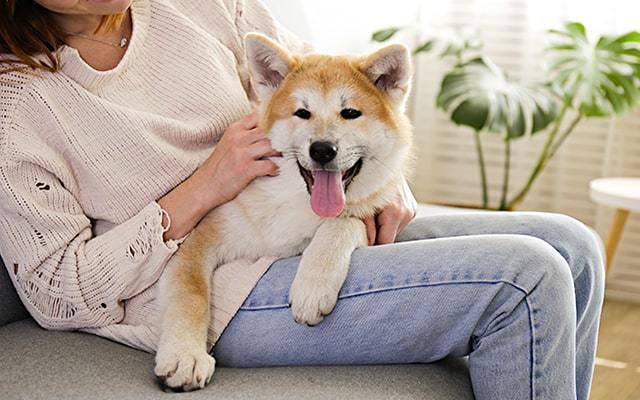 【医師監修】犬アレルギーの症状と原因は？愛犬と暮らすためにできる対処法を紹介