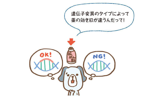 いま、「犬の遺伝子検査」に注目！