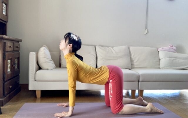 『yoganess』より引用