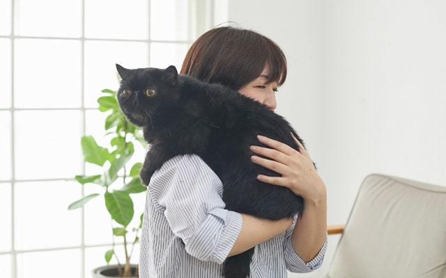 抱っこ嫌いな猫を上手に抱っこするコツと方法を動物看護学校講師が紹介！