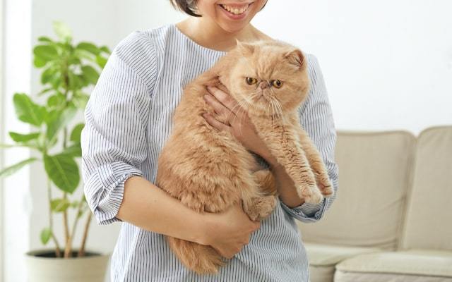 抱っこ嫌いな猫を上手に抱っこするコツと方法を動物看護学校講師が紹介！