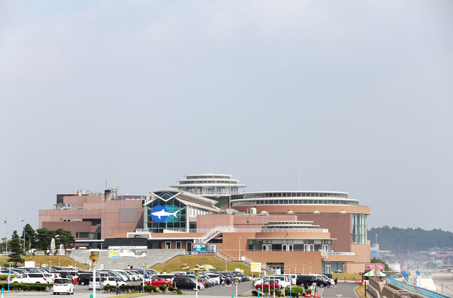 【徹底解説】アクアワールド茨城県大洗水族館の魅力とは！ショー・イベントから基本情報まで